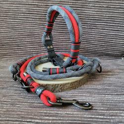 Halsband & Leine Set Tau Halsband & Leine Set Tau